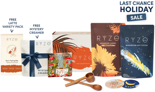 Day + Night Bundle Lite 6SK3