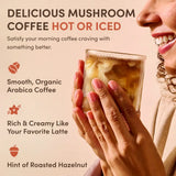 Mushroom Coffee Select CSJ6
