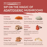 Mushroom Chai Select TR3X