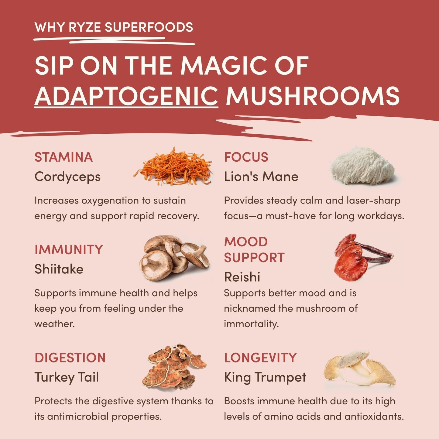 Mushroom Chai Select TR3X