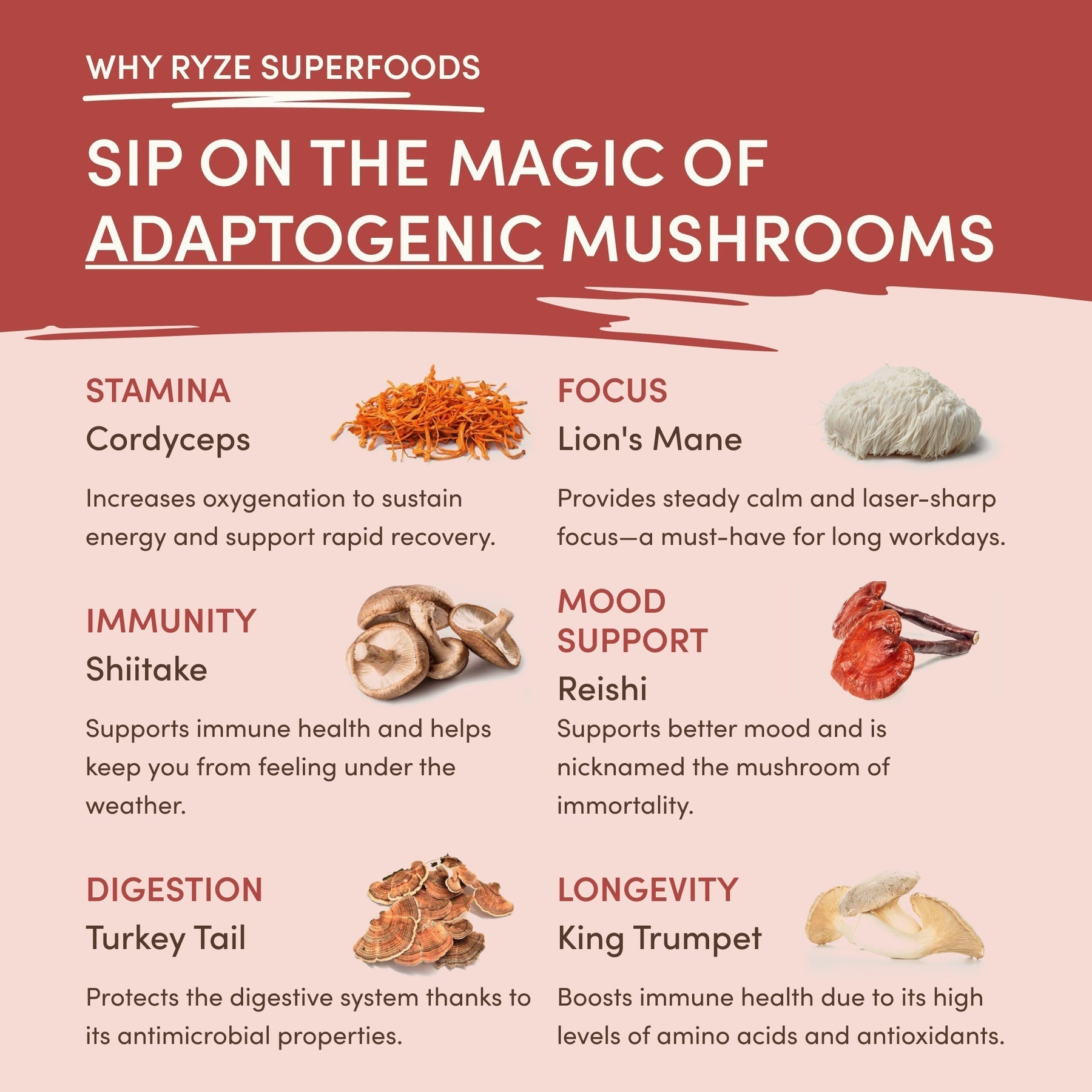 Mushroom Chai Select TR3X