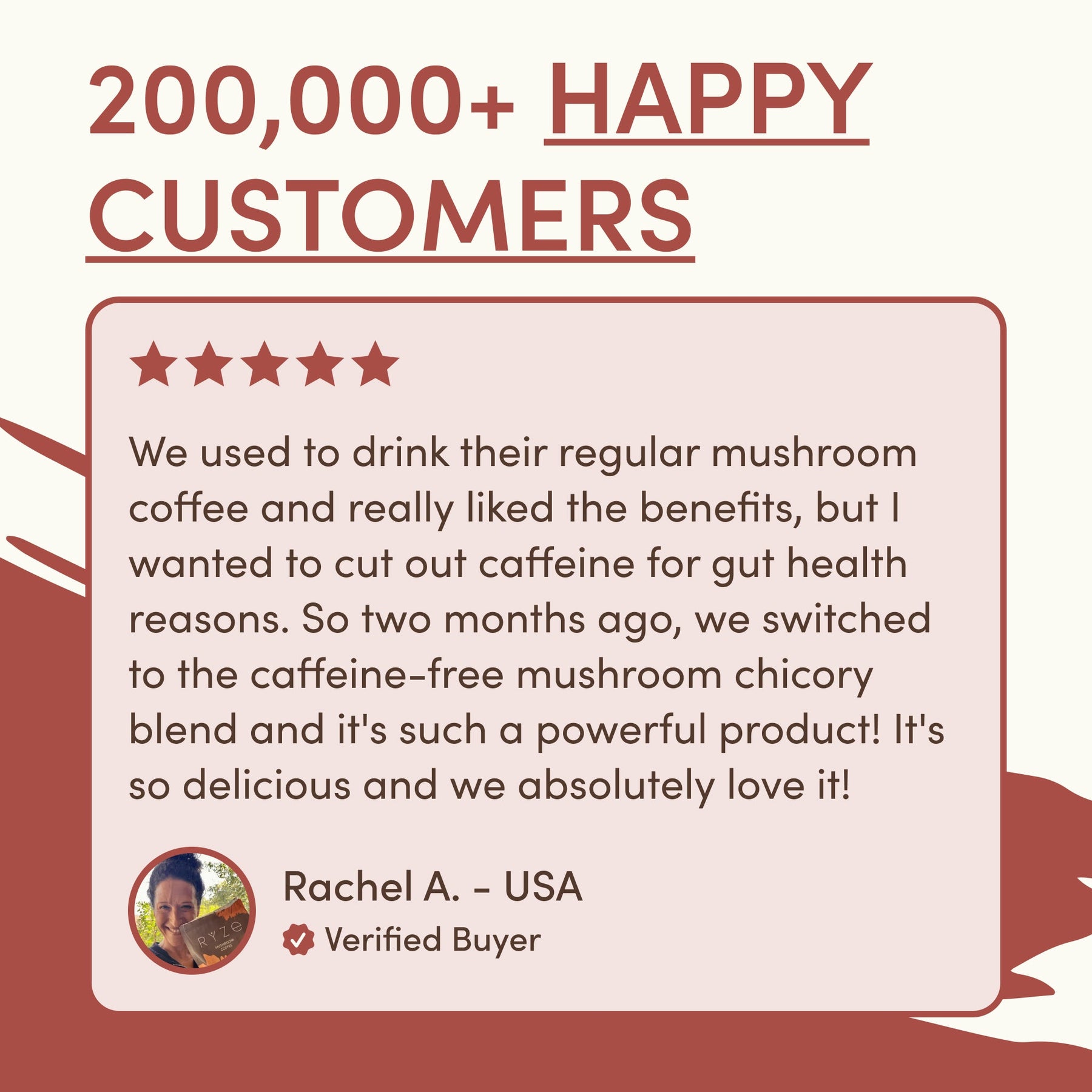 Mushroom Chicory Prime ITMZ